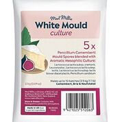 White Mould