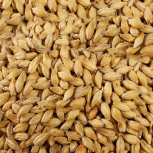 pale-ale-malt-nz-grain_1__46947